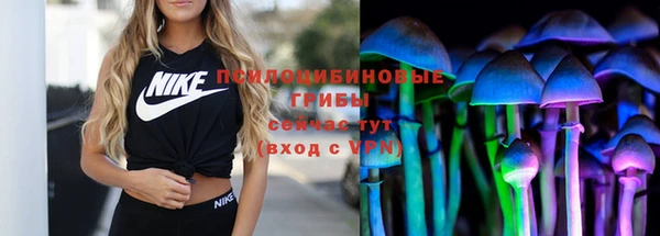 крисы Алексин