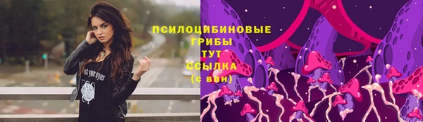 крисы Алексин
