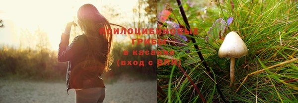 jwh Алзамай