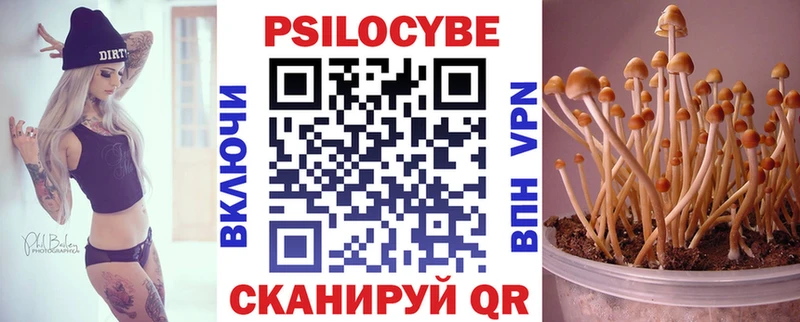 Галлюциногенные грибы мухоморы  OMG как войти  Перевоз 